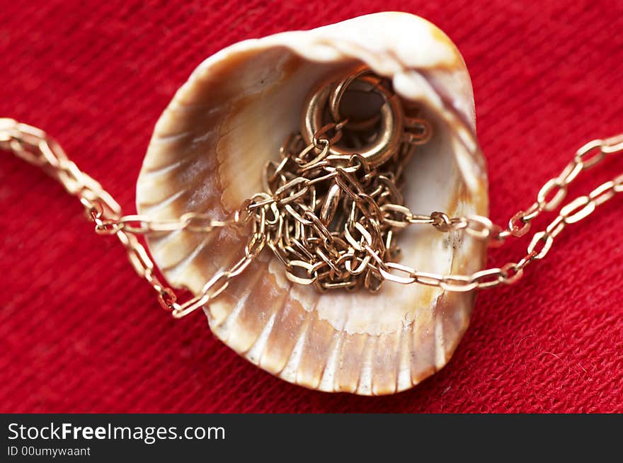 Sea shell and golden chain