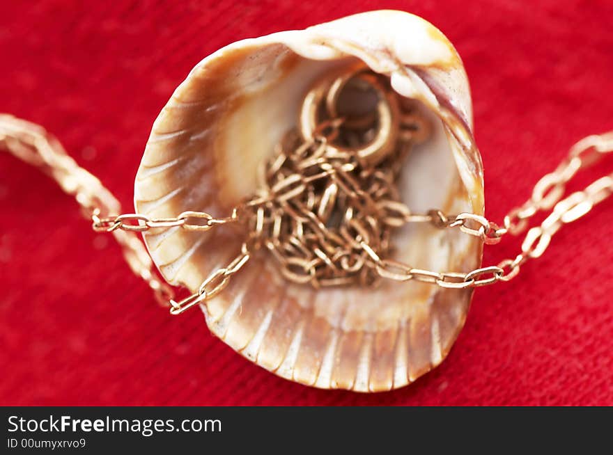 Sea shell and golden chain