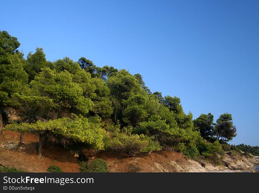 Sea shore over blue sky