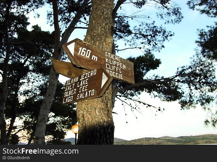 Turist information tables on a tree in Croatia. Turist information tables on a tree in Croatia