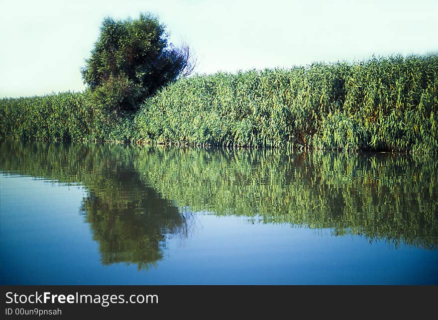 River bank vegetation, mirrored in the smooth water surface. River bank vegetation, mirrored in the smooth water surface.