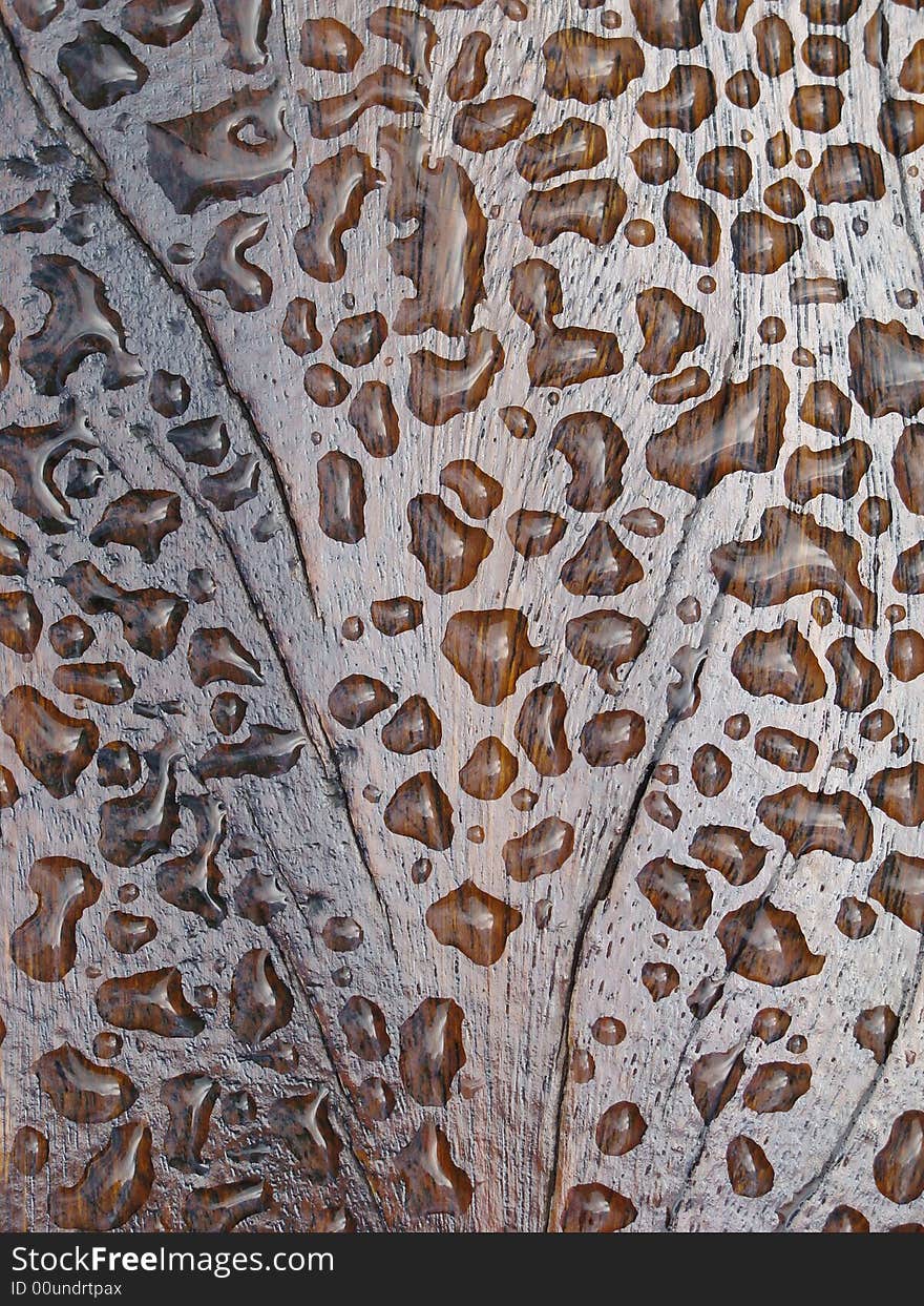 Drops on wood texture after the rain. Drops on wood texture after the rain