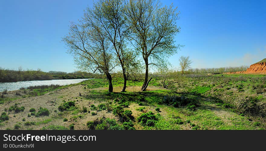 spring landscape - green fields, the blue sky and white clouds