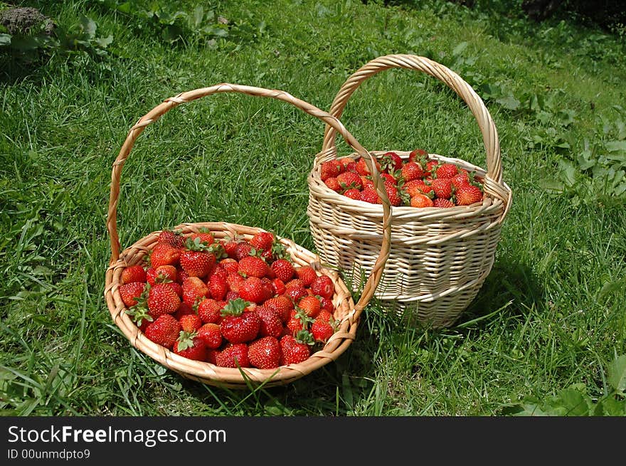 Wicker baskets filled with strawberries on green grass. Wicker baskets filled with strawberries on green grass.