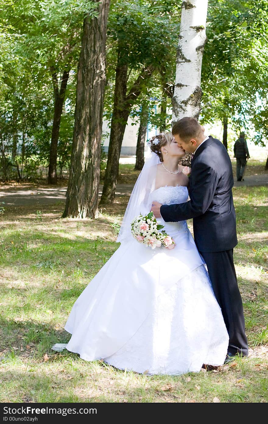 Bride and groom kiss near the birch. Bride and groom kiss near the birch