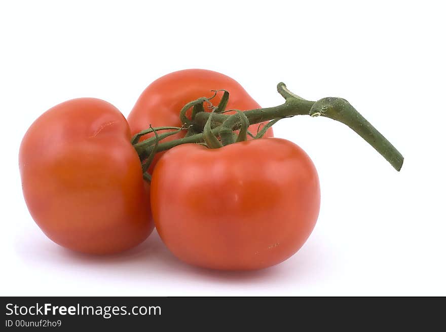 Three Full Red Tomatoes On A Branch.