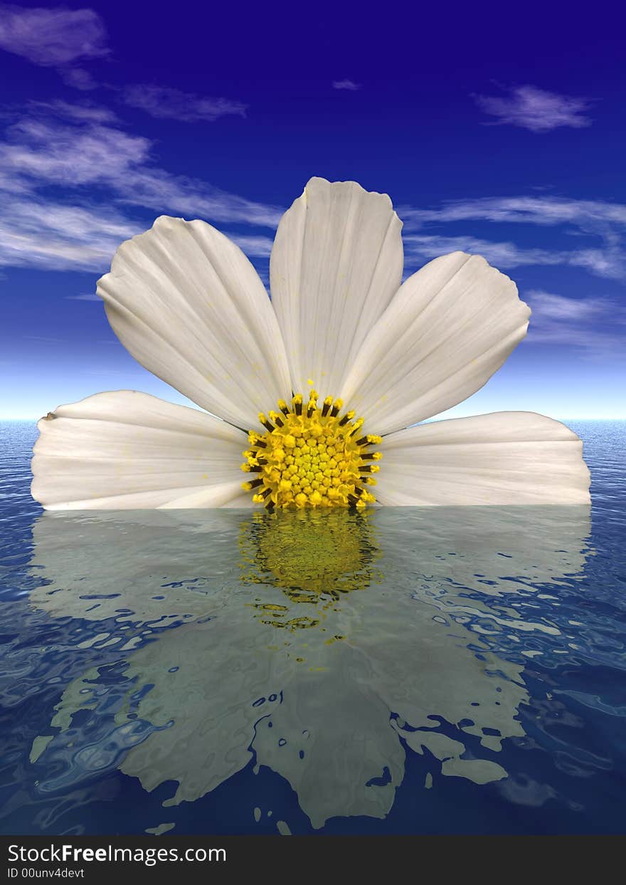 Beautiful flower with reflection on water. Beautiful flower with reflection on water