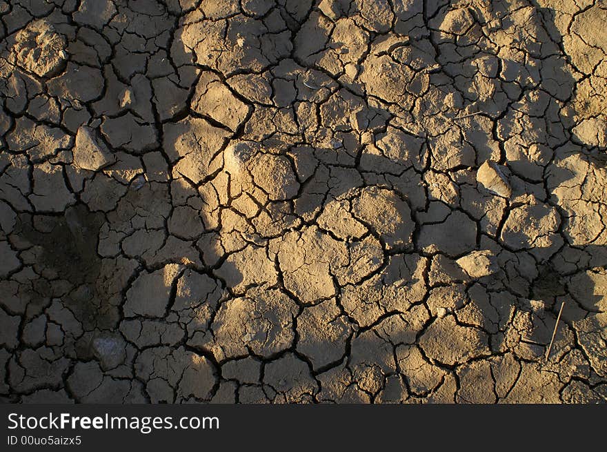 Texture Of Drought