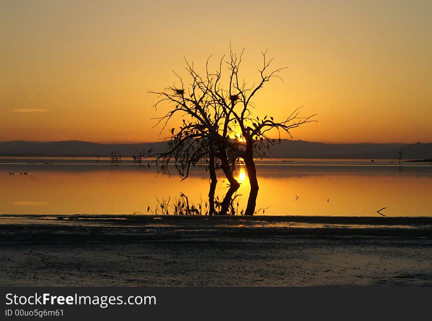 Golden sunset at Salton sea lake