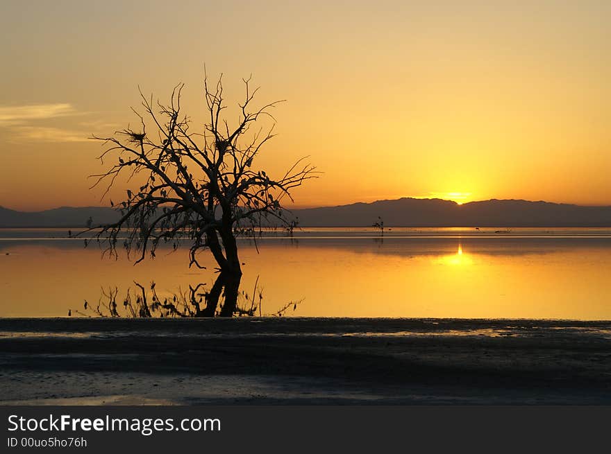 Golden sunset at Salton sea lake