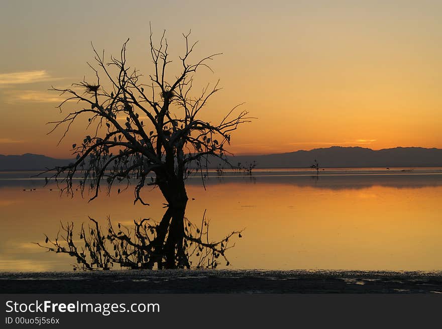 Golden sunset at Salton sea lake