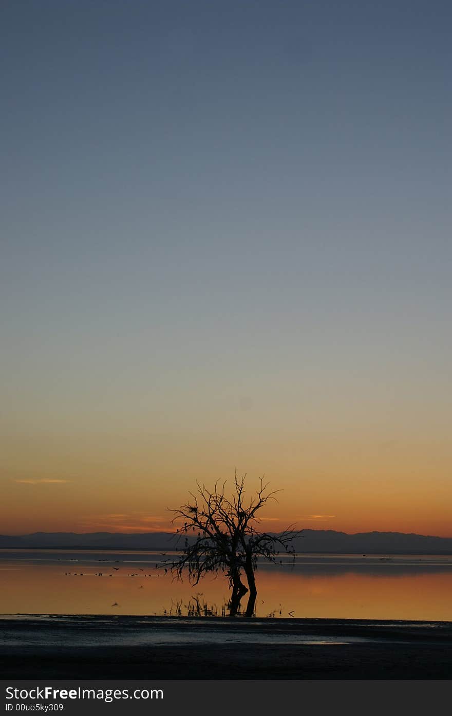 Golden sunset at Salton sea lake