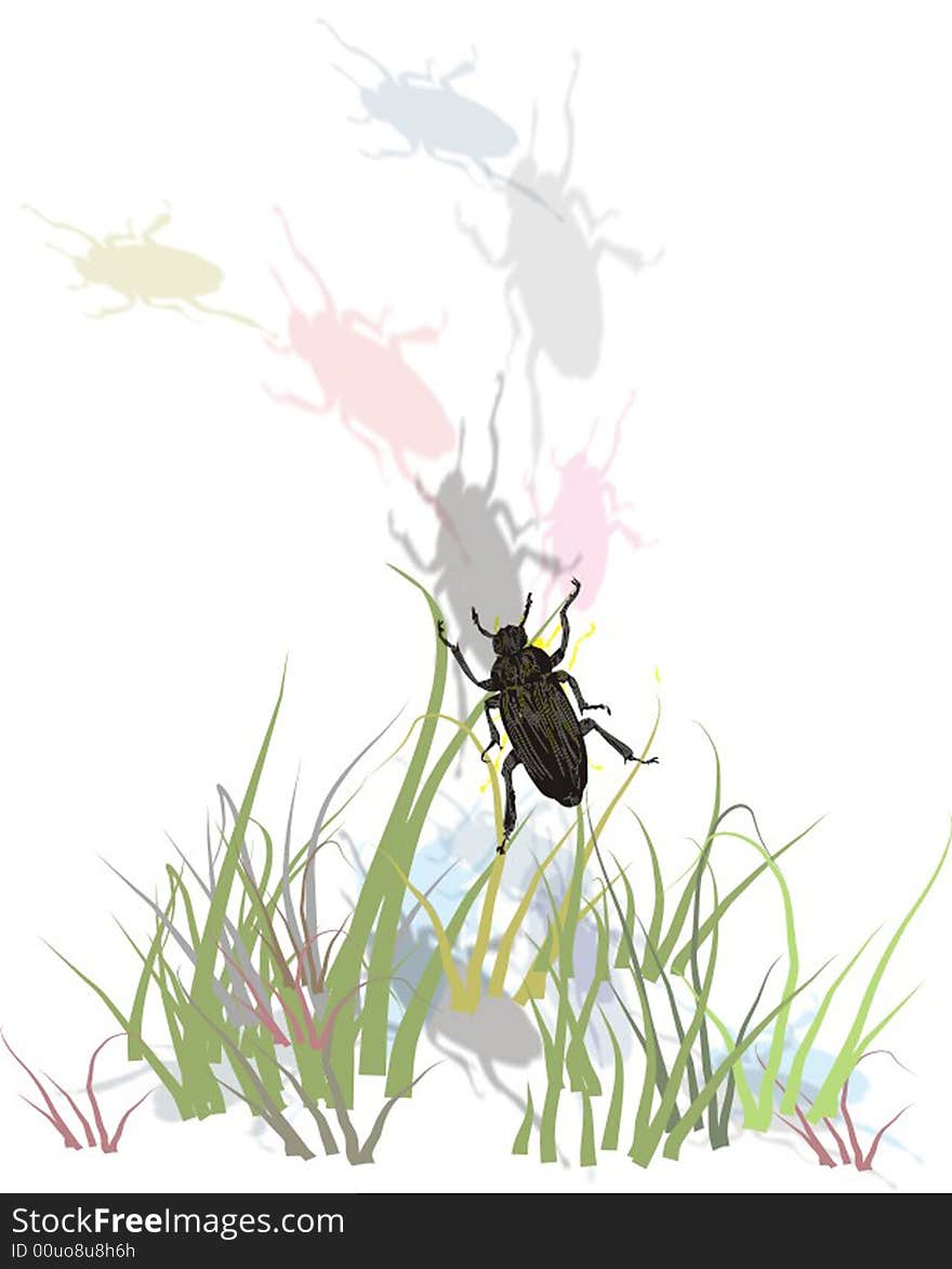 Bugs In Grass