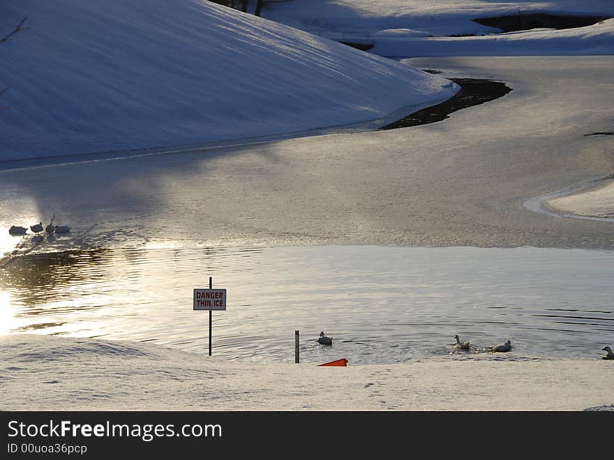 Very thin ice.  Looks like the ducks aren't too concerned about the warning. Very thin ice.  Looks like the ducks aren't too concerned about the warning.