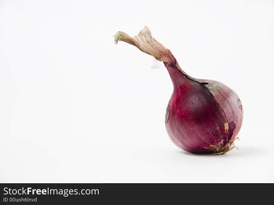 Onion