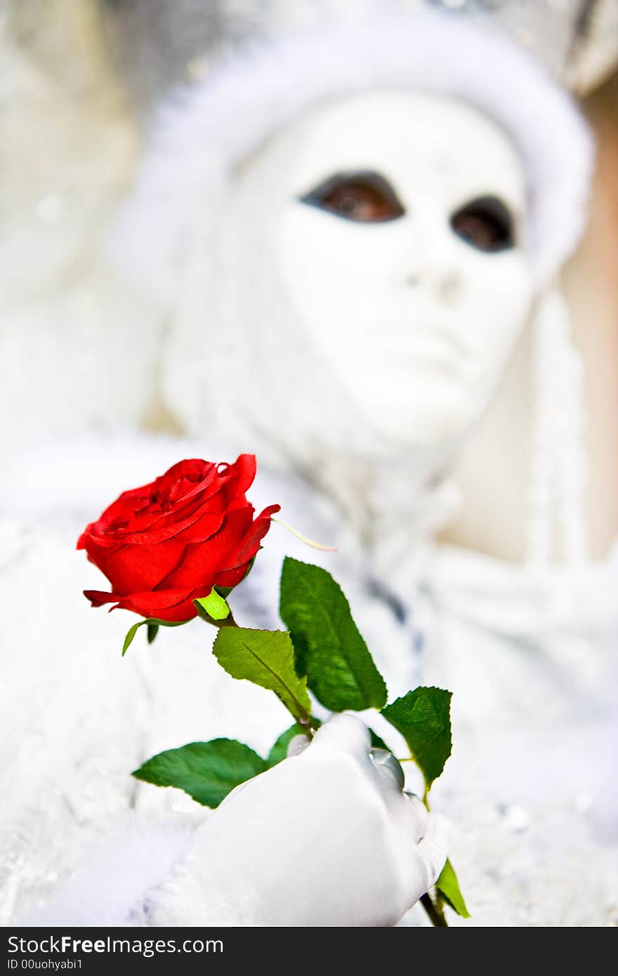 Red rose and white costume at the Venice Carnival (Focus on the rose)