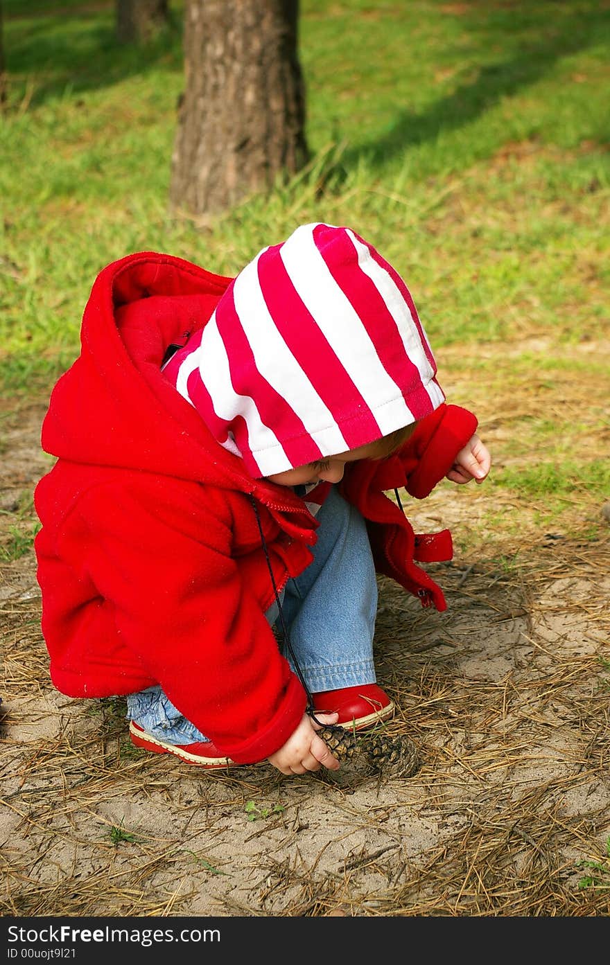 Little girl in a wood collects cones