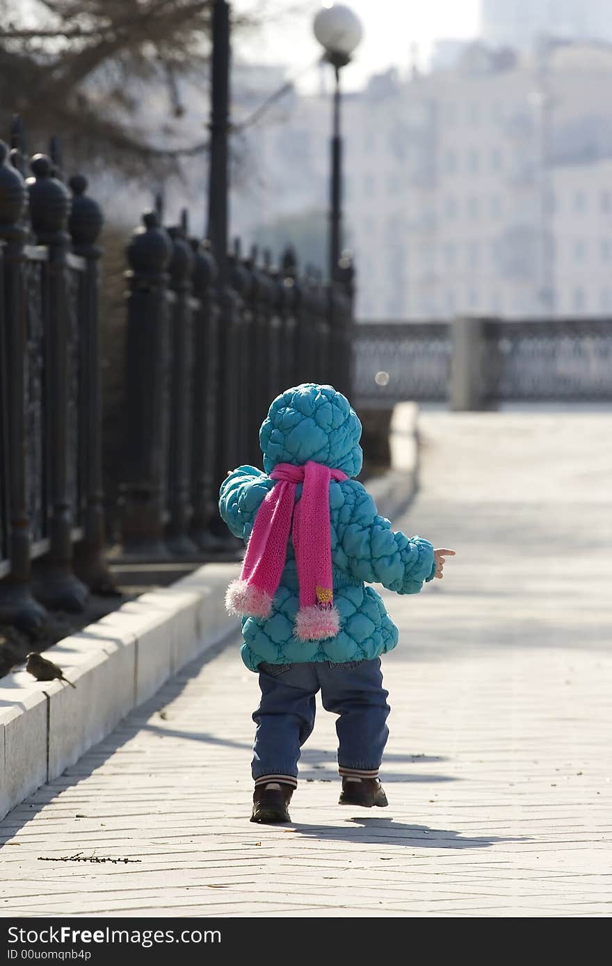 Child In A Park