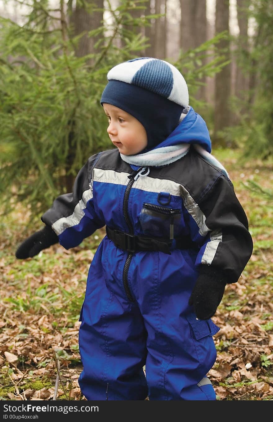 The little boy in a dark blue jacket and blue take walks in a fur-tree wood. The little boy in a dark blue jacket and blue take walks in a fur-tree wood