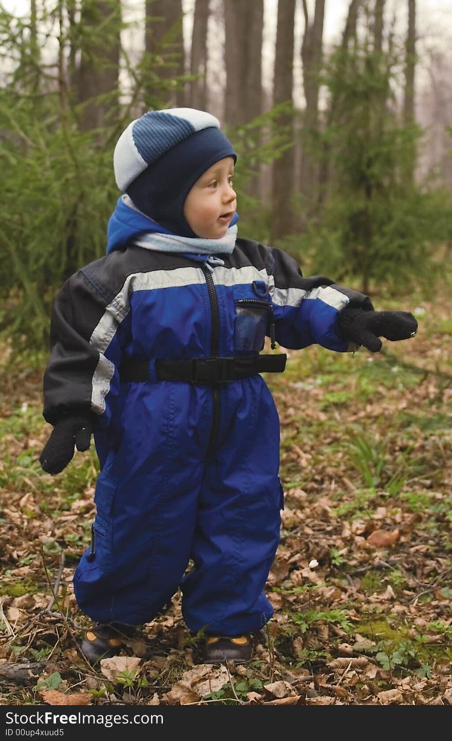 The little boy in a dark blue jacket and blue take walks in a fur-tree wood. The little boy in a dark blue jacket and blue take walks in a fur-tree wood