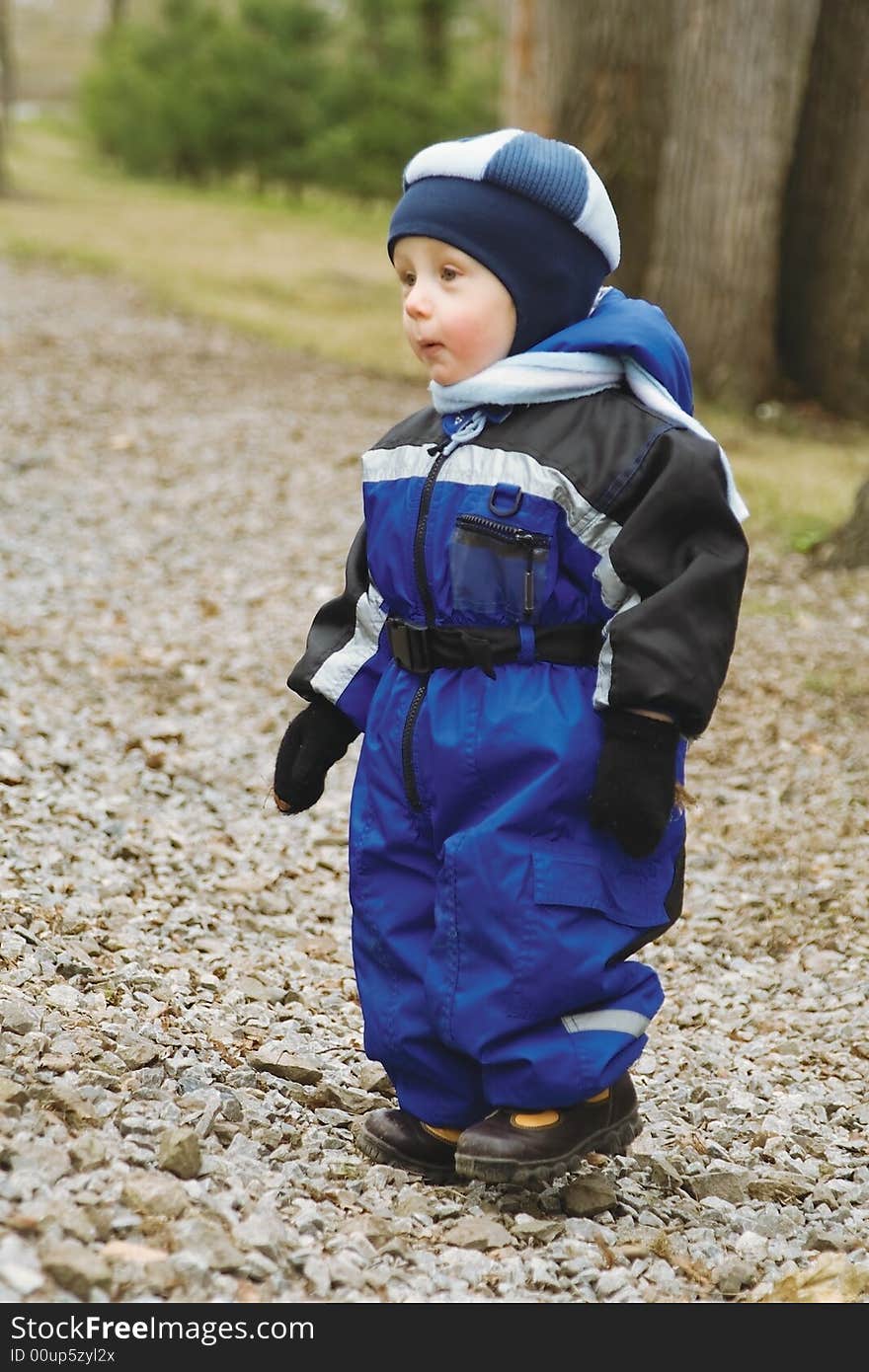 The little boy in a dark blue jacket and blue take walks in a fur-tree wood. The little boy in a dark blue jacket and blue take walks in a fur-tree wood