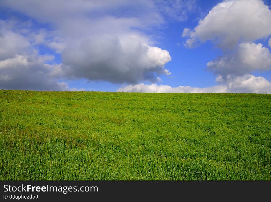 Grassland