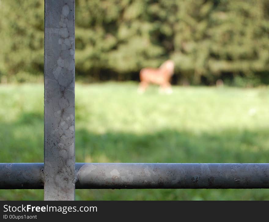 This picture suggests that the horse is in a locked field but it's not. This picture suggests that the horse is in a locked field but it's not