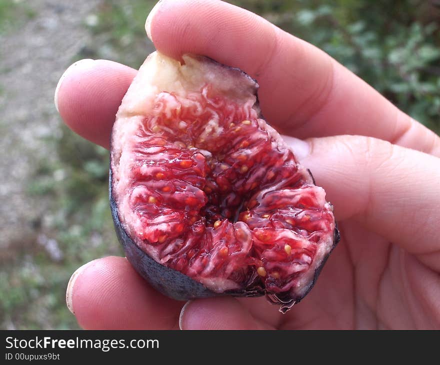 Fresh fig