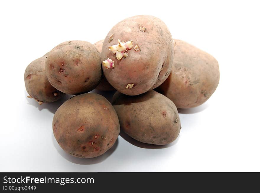 Potatoes with burgeons on white background