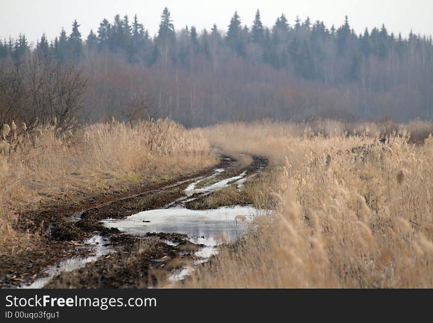 Dry reed and spring water