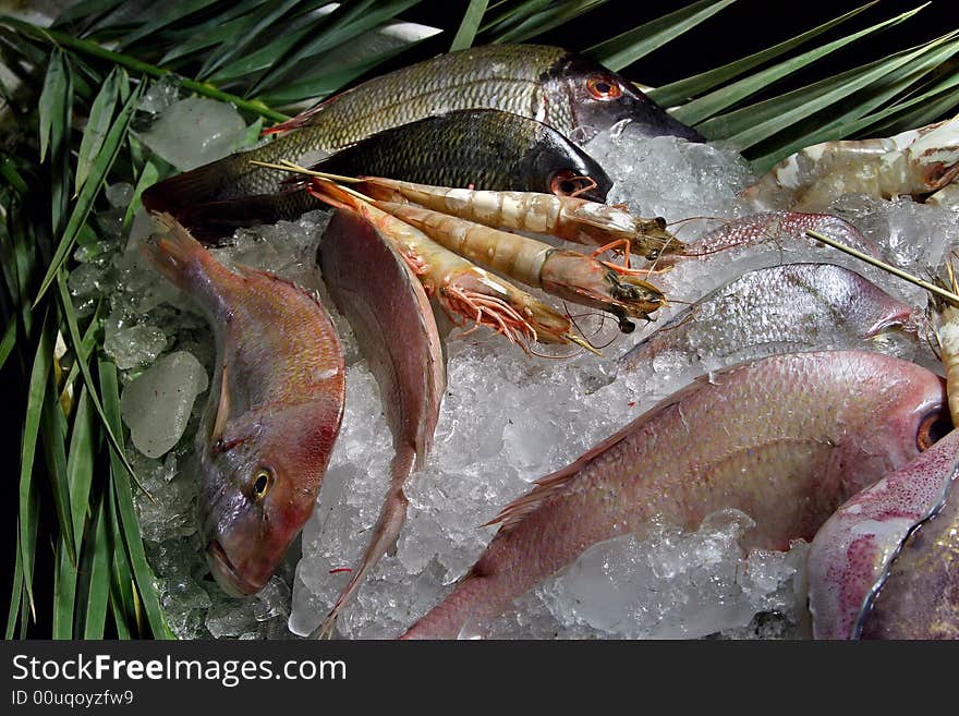 Seafood, ice , cooking, asian, freshness. Seafood, ice , cooking, asian, freshness