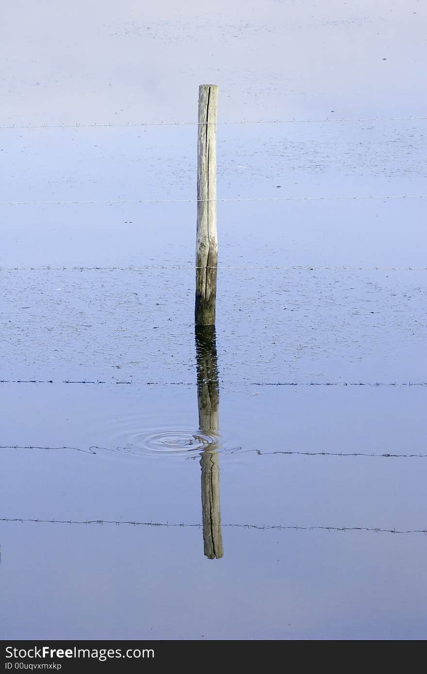 Marsh fence