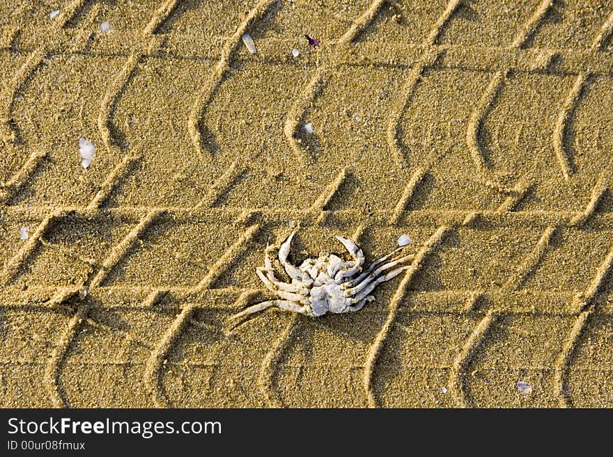 Crab tracks 4x4  evolution