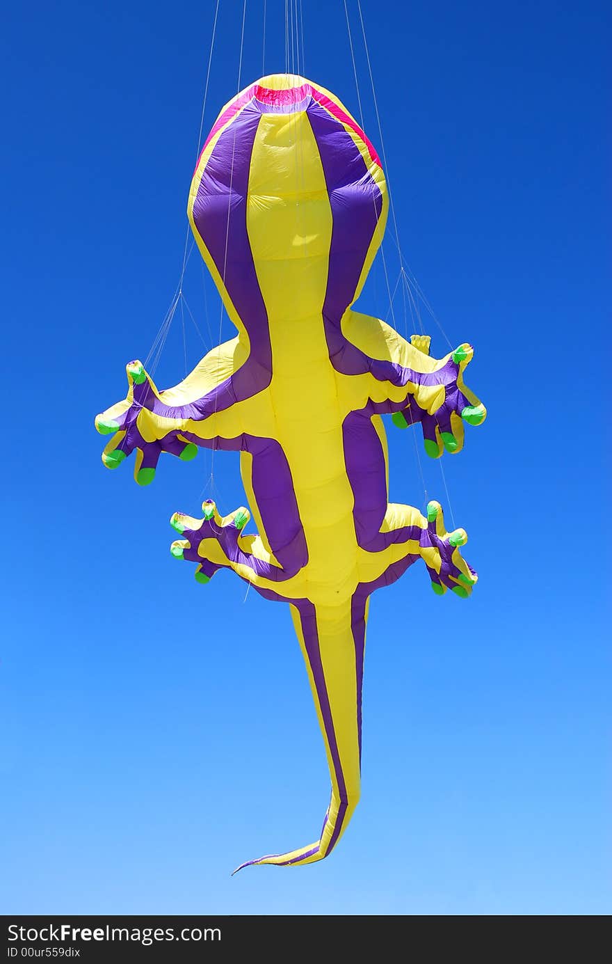 A coloured lizard kite on a blue sky