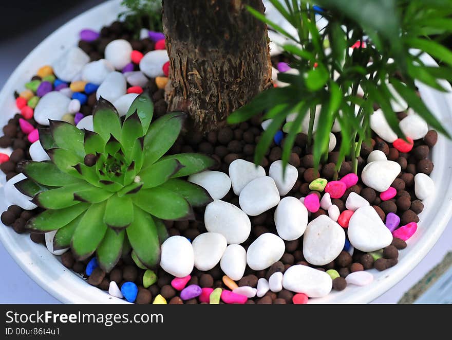 Scenery in bowl