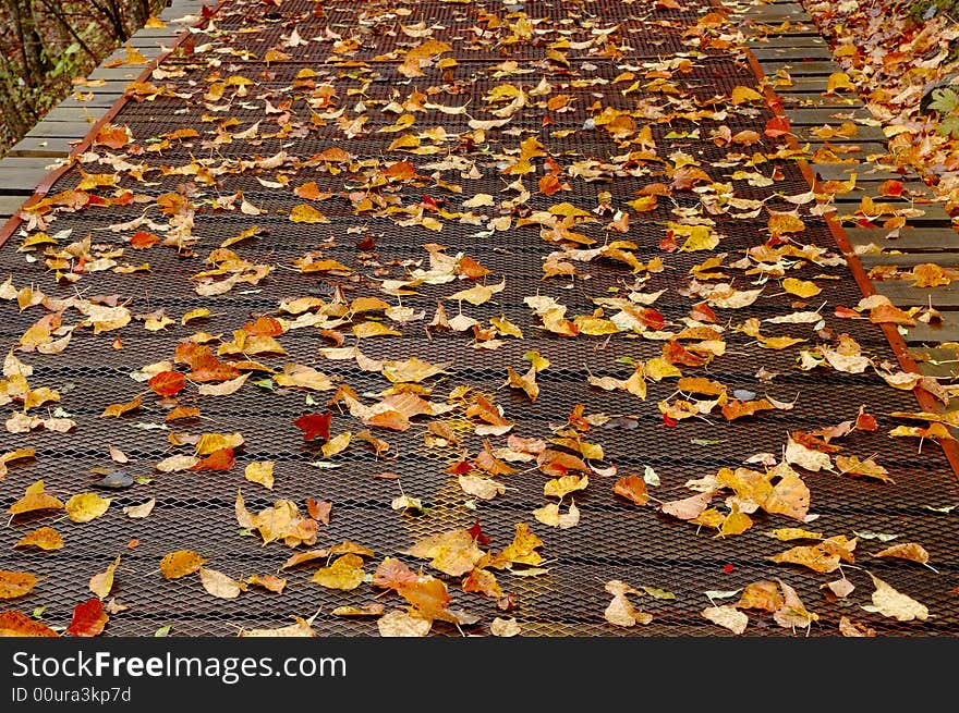 Plank road of JiuZhaigou in fall. Plank road of JiuZhaigou in fall.