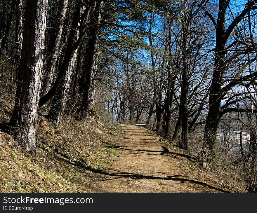 Brasov Alley In Spring (Transylvania)