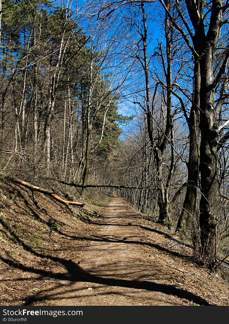 Brasov alley in spring (Transylvania)