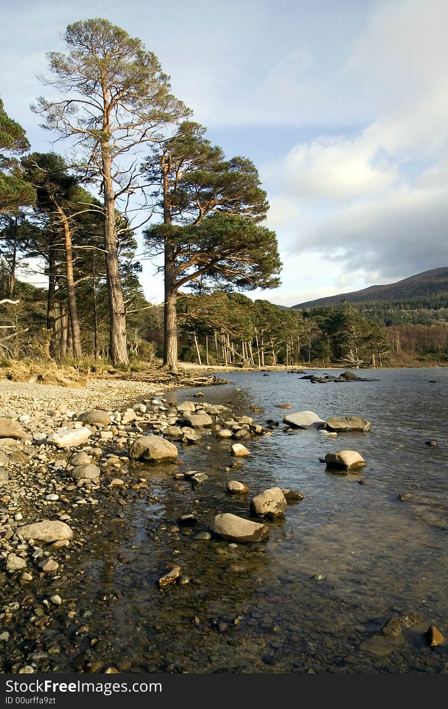 Trees and rocks by a lake