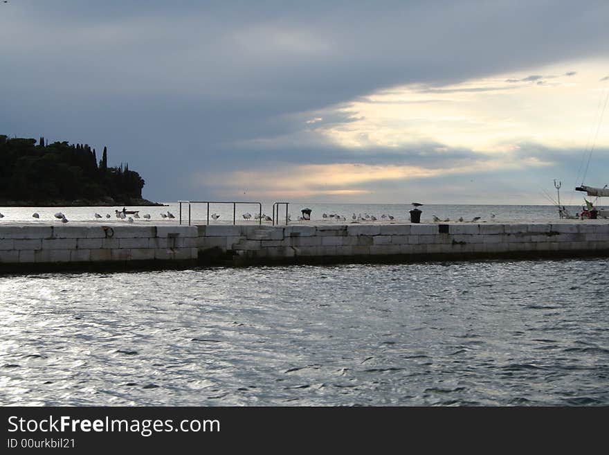 Gulls on Rovinj pier after storm