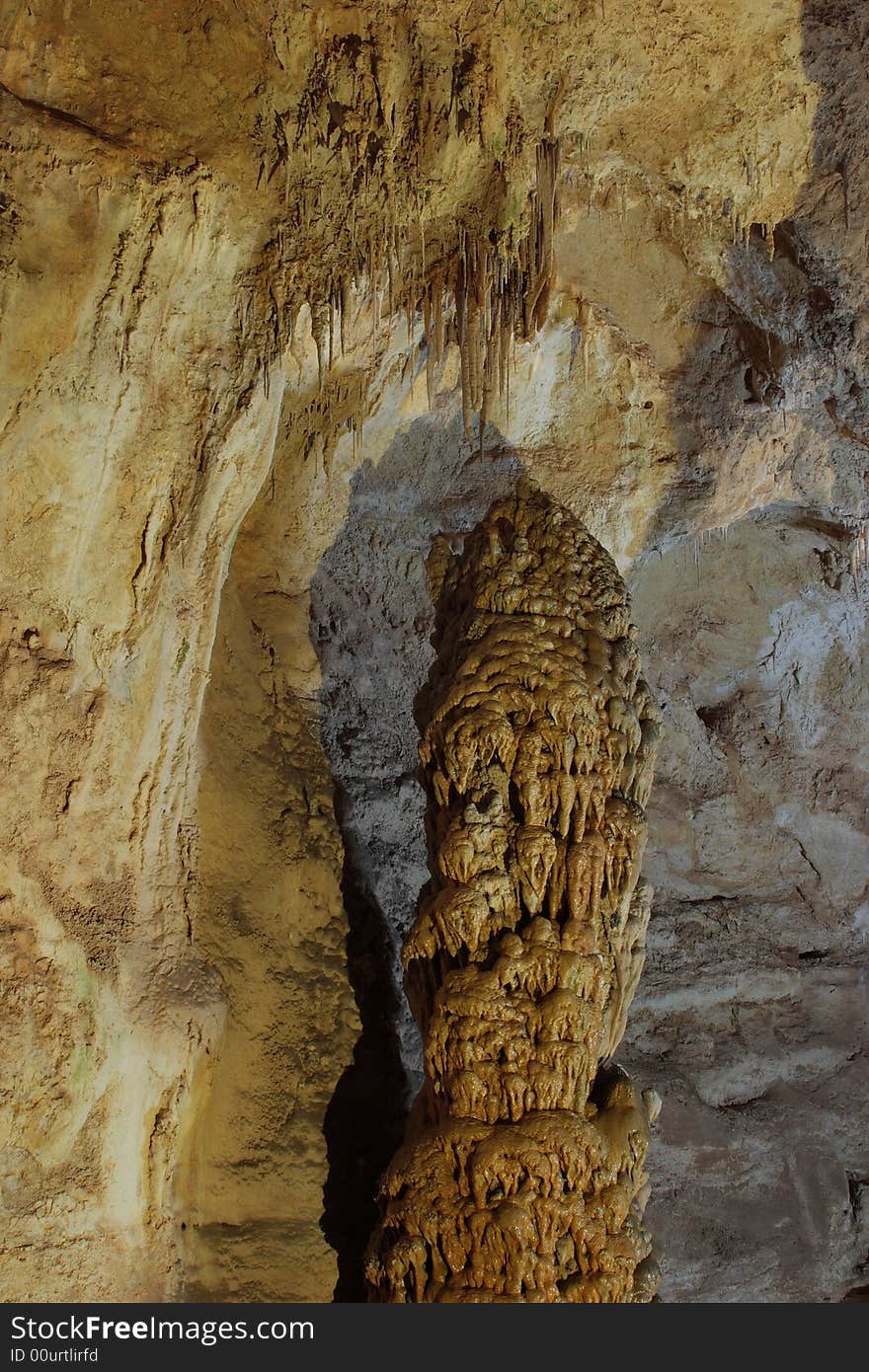 Devils Spring along the Natural Entrance Tour - Carlsbad Caverns National Park