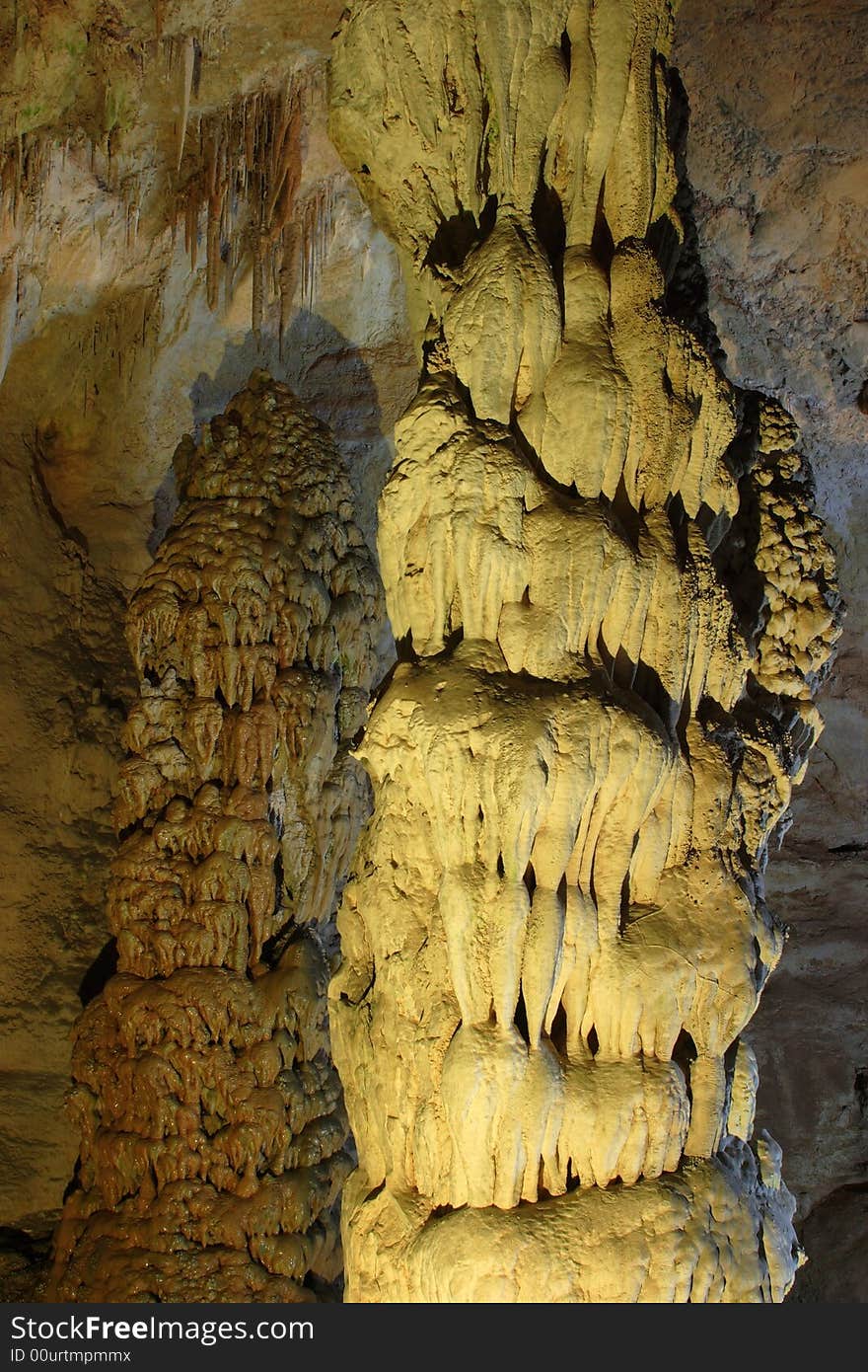 Devils Spring along the Natural Entrance Tour - Carlsbad Caverns National Park