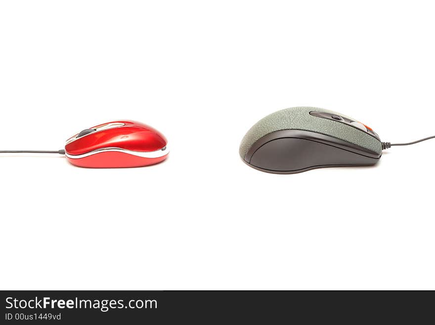 Red mouse vs grey mouse 1