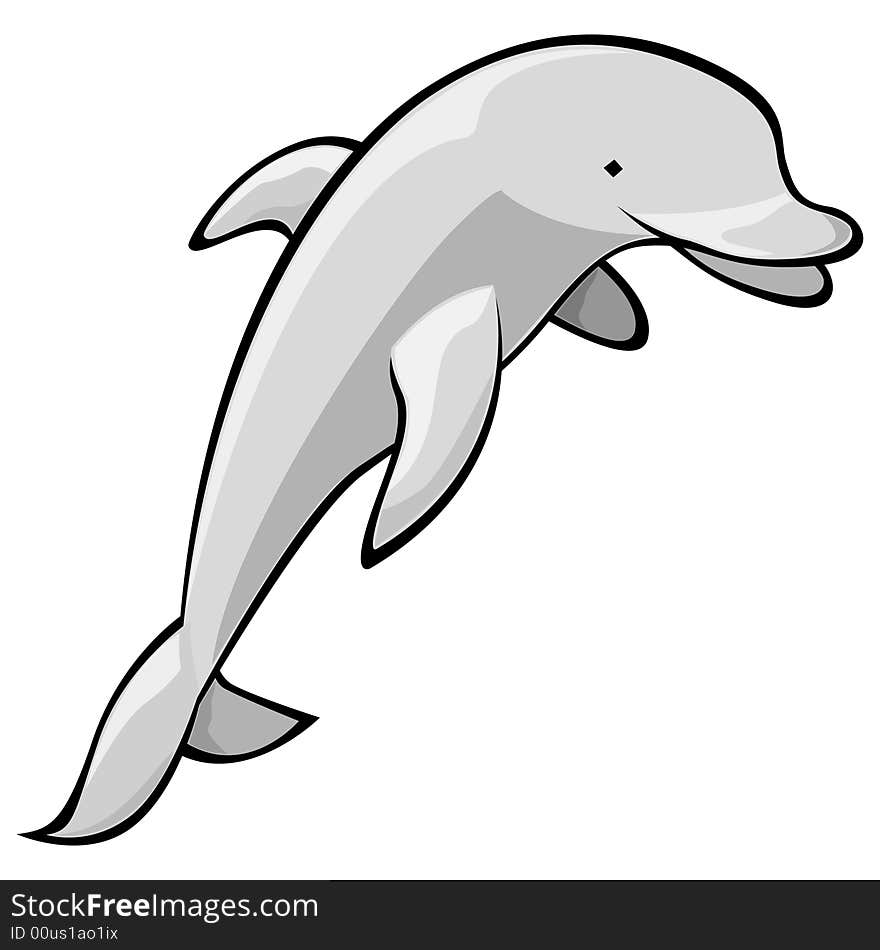 A grey cute friendly dolphin