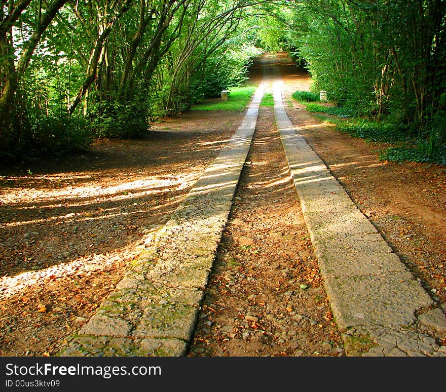 The road in a park