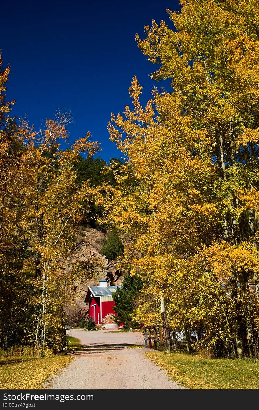 A rural Colorado red Barn seems hidden among the changing fall foliage of trees. A rural Colorado red Barn seems hidden among the changing fall foliage of trees