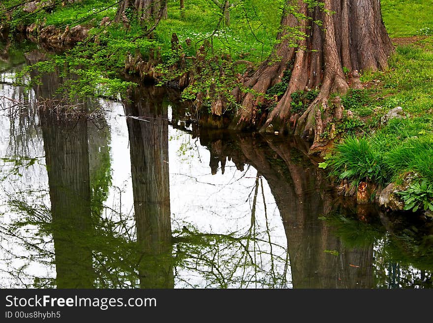 Trunks of trees reflected in the pond of a garden. Milan , Italy. Trunks of trees reflected in the pond of a garden. Milan , Italy.