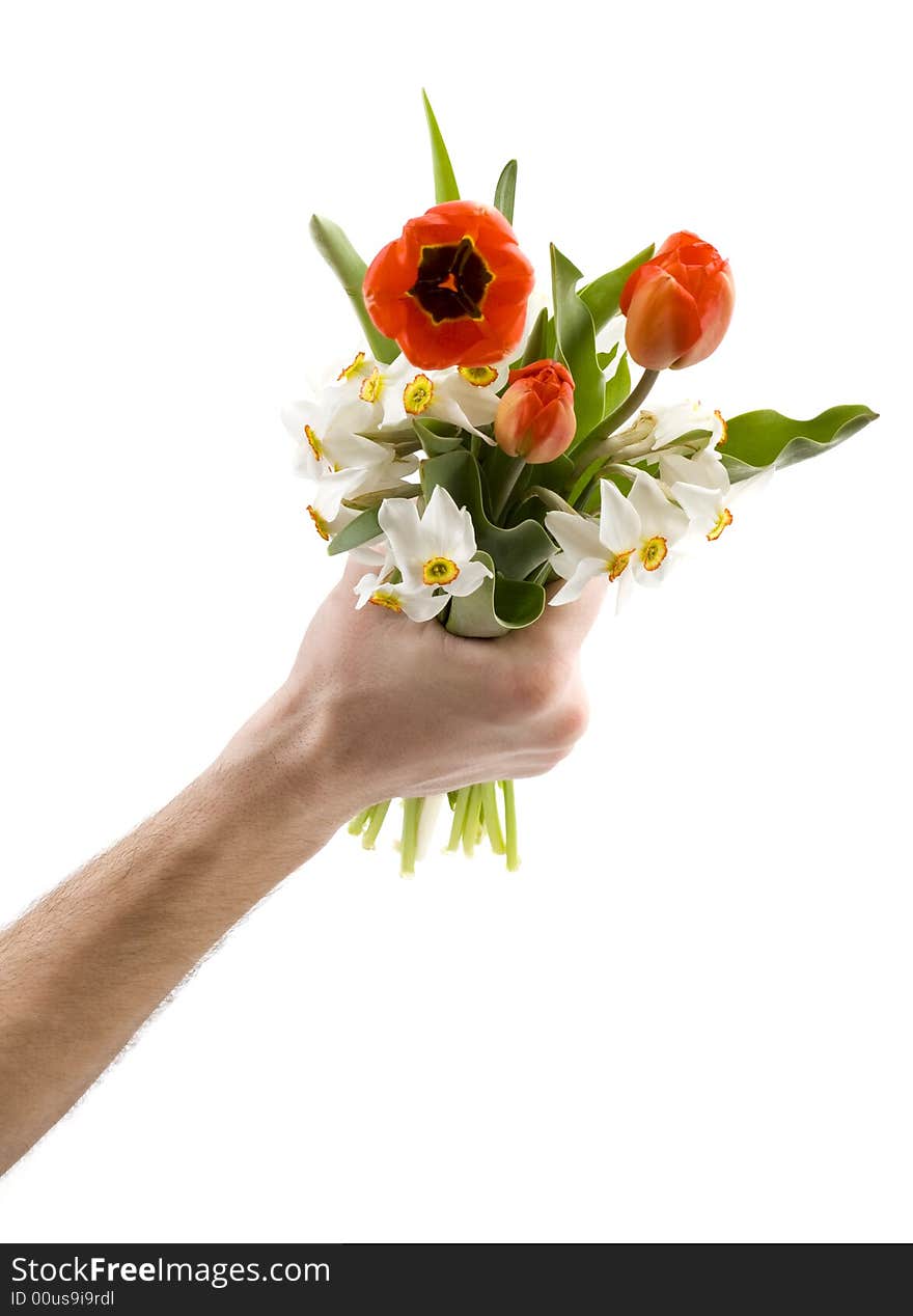 Man holding bouquet of white narcissus and red tulips, spring flowers