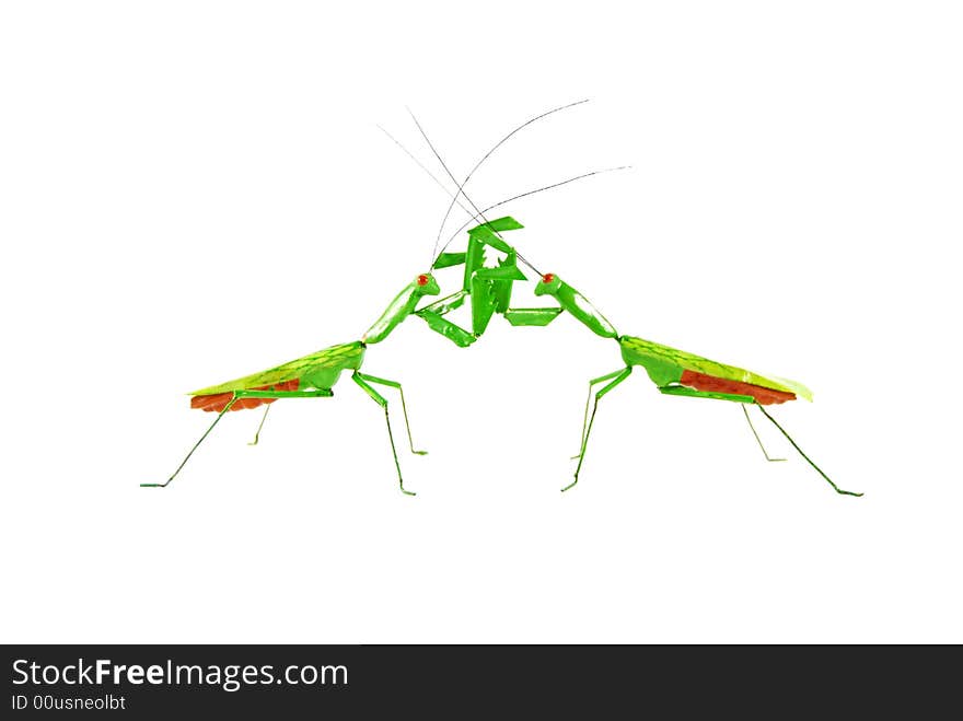 Two praying mantises come face to face. Two praying mantises come face to face