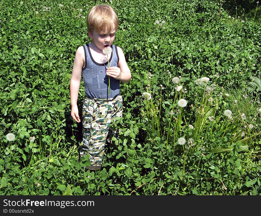 Boy with blowball